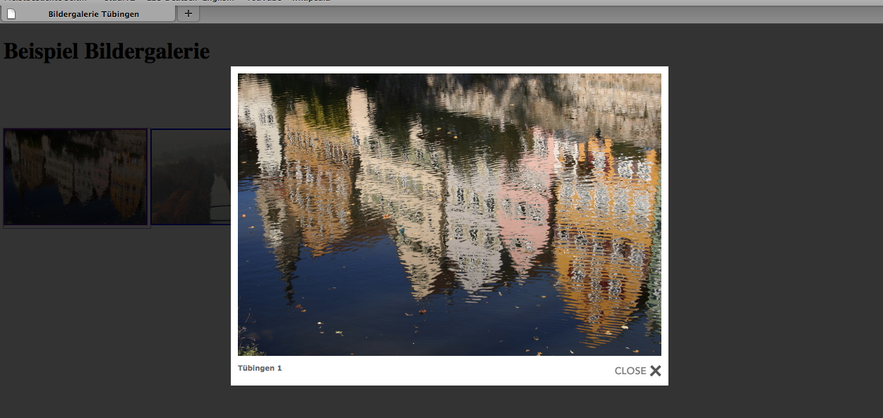 Browser-Ansicht nach Aktivierung und Integrierung von Lightbox