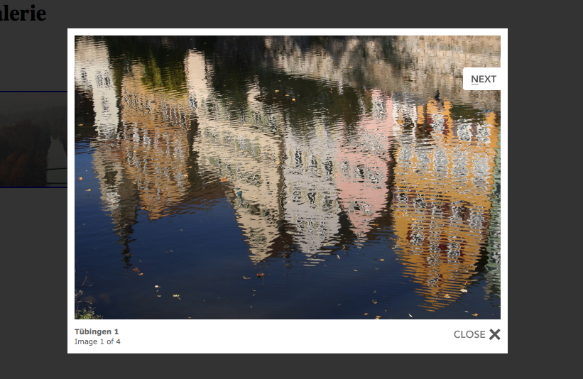 Browser-Ansicht für Bilder benannt nach Themen - mit „Next“ zum Weiterklicken